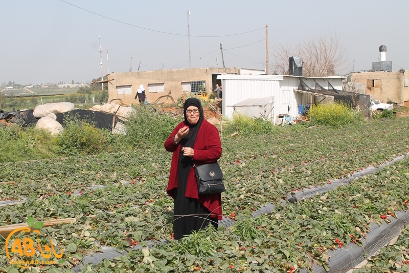 a7bab aqsa farawla (56).JPG